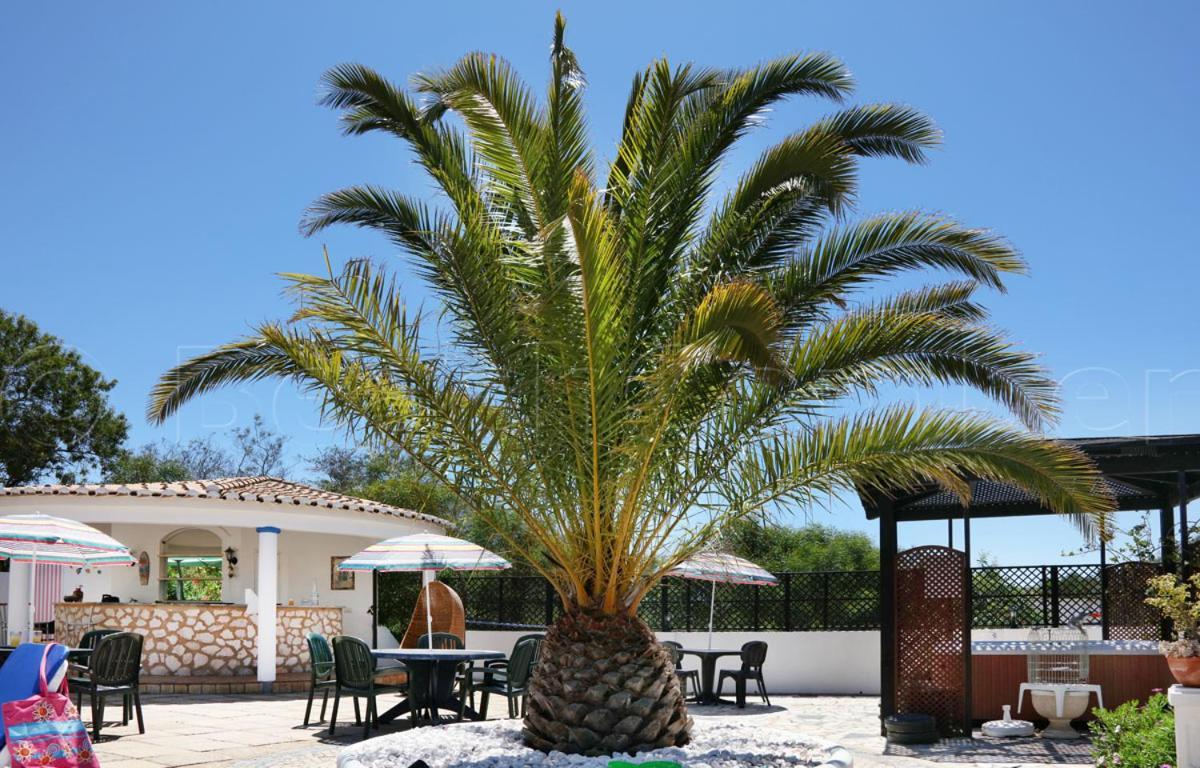 Apartamento Casa Beachcomber Le Jardin Des Arts *